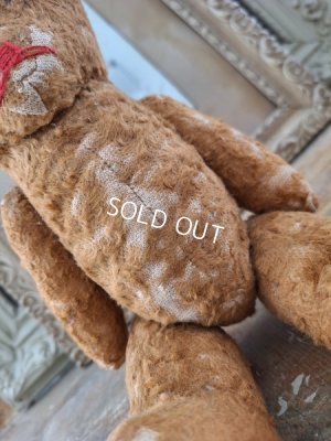 画像14: フレンチJPMテディベア