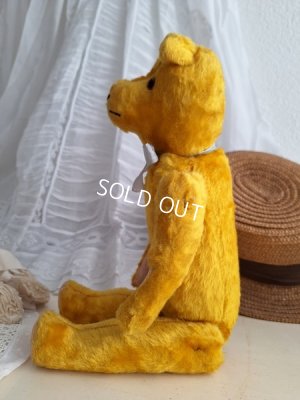 画像17: アンティークテディベア