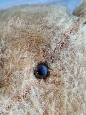 画像3: アンティークフレンチテディベア