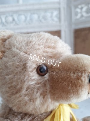 画像6: アンティークハーマンテディベア