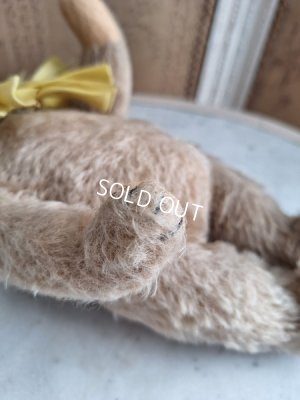 画像12: アンティークハーマンテディベア