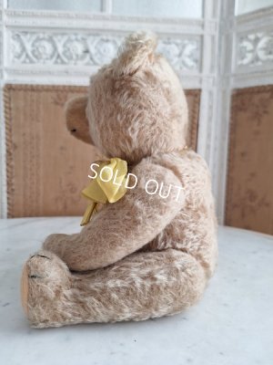 画像17: アンティークハーマンテディベア