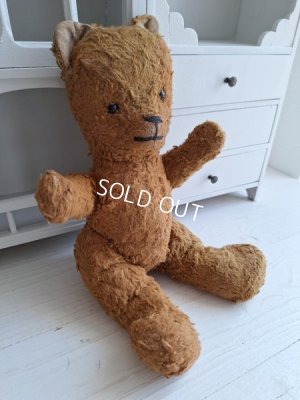 画像7: JPMテディベア