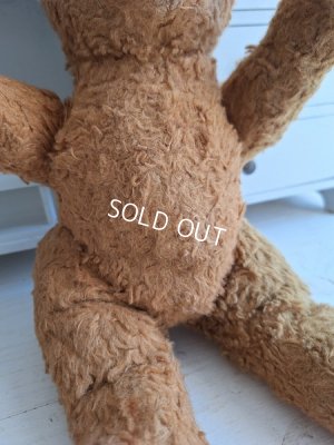 画像12: JPMテディベア