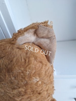 画像16: JPMテディベア