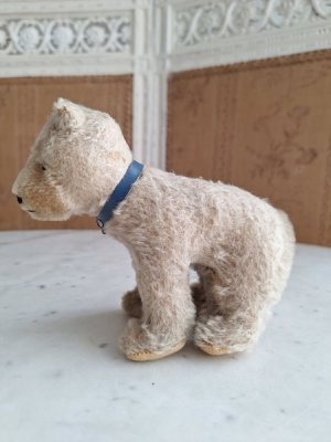 画像8: 四肢立シュタイフテディベア