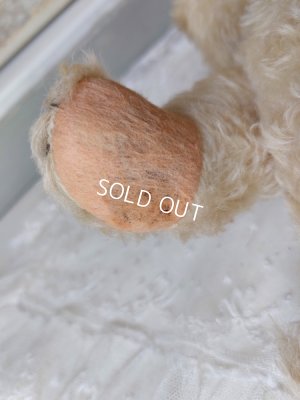 画像5: アンティークホワイトテディベア