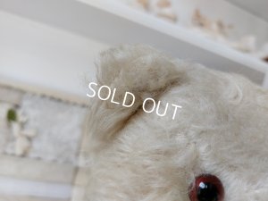 画像13: アンティークホワイトテディベア