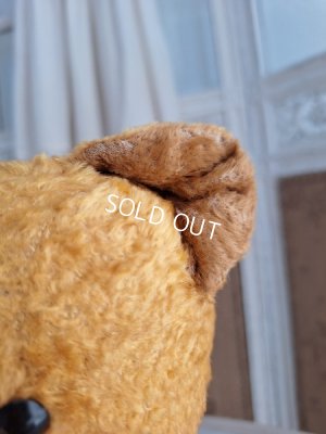 画像10: アンティークフレンチテディべア