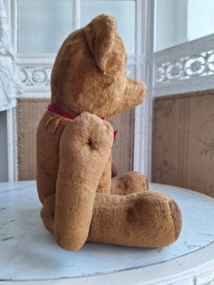 画像6: フレンチテディベア