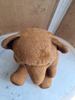 画像5: フレンチテディベア