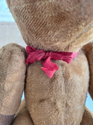 画像14: フレンチテディベア