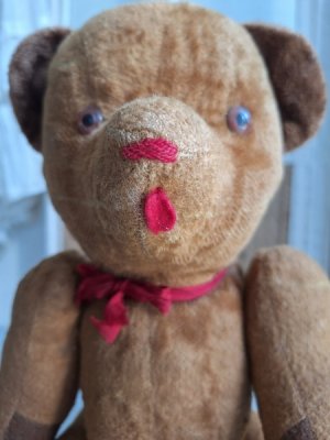 画像13: フレンチテディベア