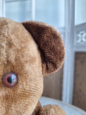 画像10: フレンチテディベア