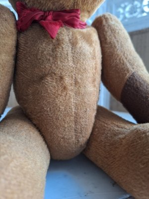 画像9: フレンチテディベア