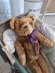 antiqueteddybear