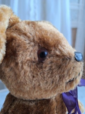 画像5: アンティークテディベア