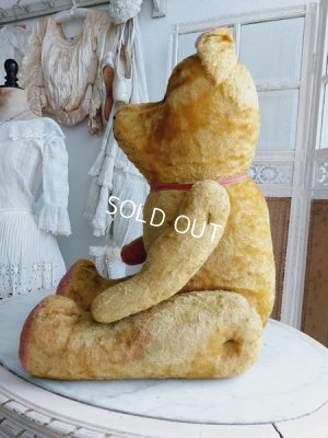 画像12: JPMフレンチテディベア