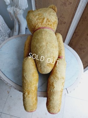 画像14: JPMフレンチテディベア