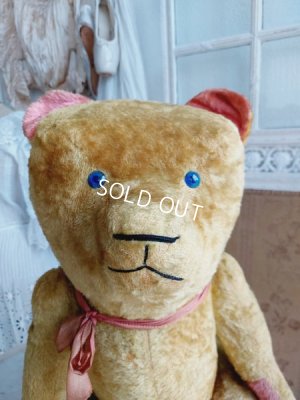 画像2: JPMフレンチテディベア