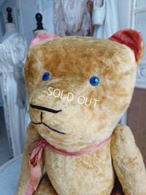 画像3: JPMフレンチテディベア