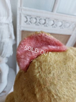 画像19: JPMフレンチテディベア