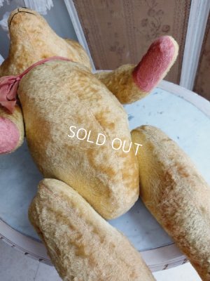 画像22: JPMフレンチテディベア