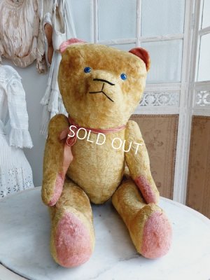 画像23: JPMフレンチテディベア