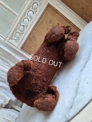 画像14: JPMドッグ