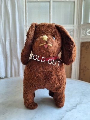 画像16: JPMドッグ