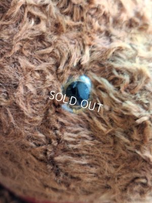 画像4: JPMドッグ