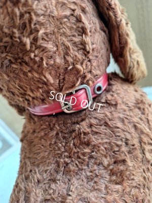 画像7: JPMドッグ