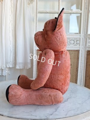 画像7: JPMピンクテディべア