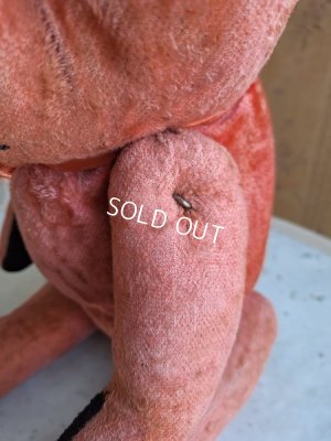 画像17: JPMピンクテディべア