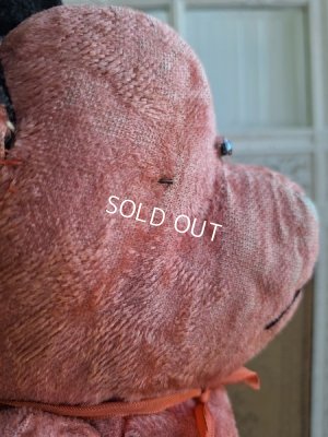 画像21: JPMピンクテディべア