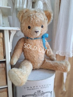 antiqueteddybear