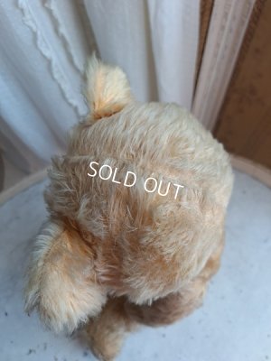 画像6: アンティークテディベア