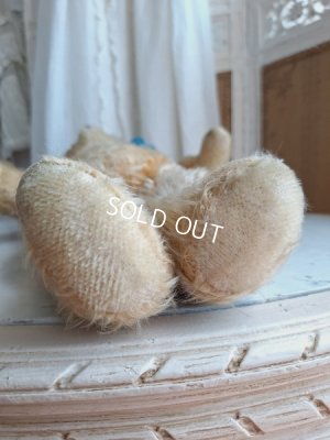 画像13: アンティークテディベア