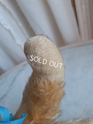 画像14: アンティークテディベア