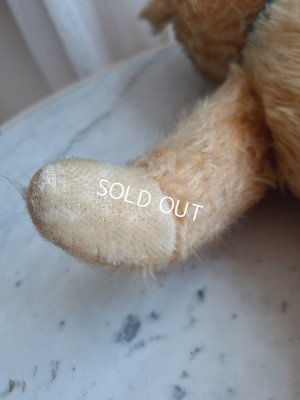 画像15: アンティークテディベア