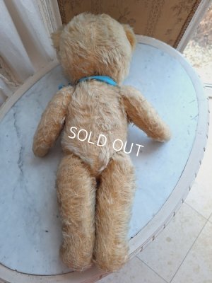 画像11: アンティークテディベア
