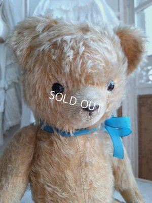 画像7: アンティークテディベア