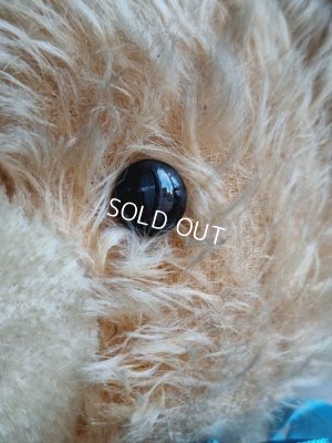 画像4: アンティークテディベア