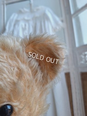 画像16: アンティークテディベア