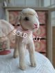 画像: シュタイフ羊Lamby
