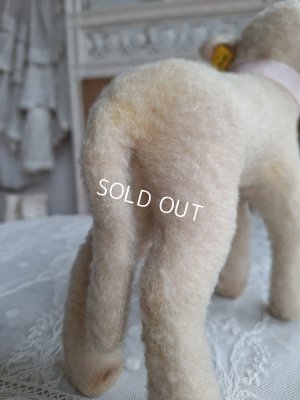 画像7: シュタイフ羊Lamby