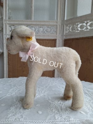 画像14: シュタイフ羊Lamby