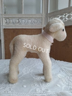 画像12: シュタイフ羊Lamby