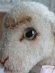 画像5: シュタイフ羊Lamby