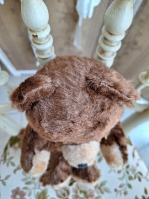 画像11: アンティークテディベア